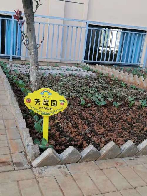 校园菜地起名指南
