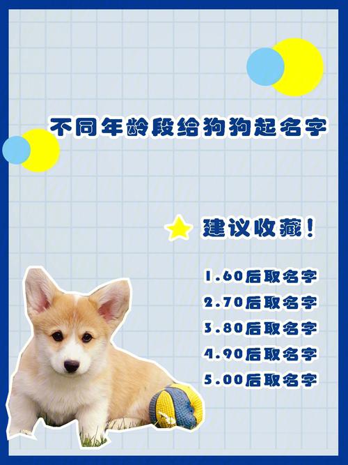 为明德门附近的人起名字