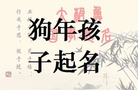 如何为属狗宝宝起名