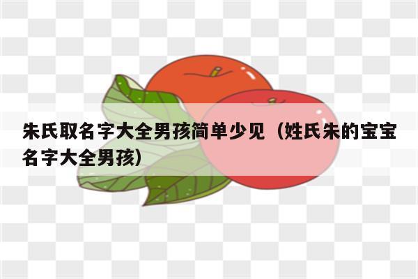 给孩子起名姓氏朱