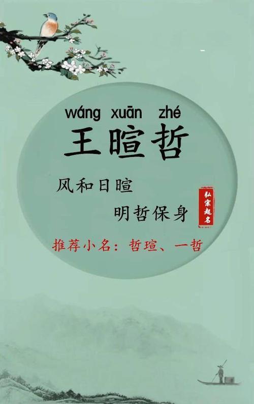 起名建议：带有“华”字的名字