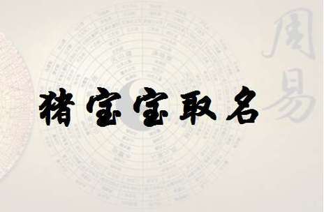 为属猪女宝宝起名