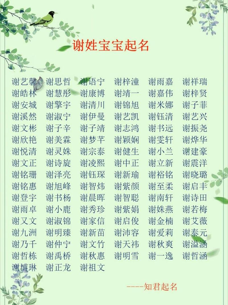 女孩猪宝宝起名