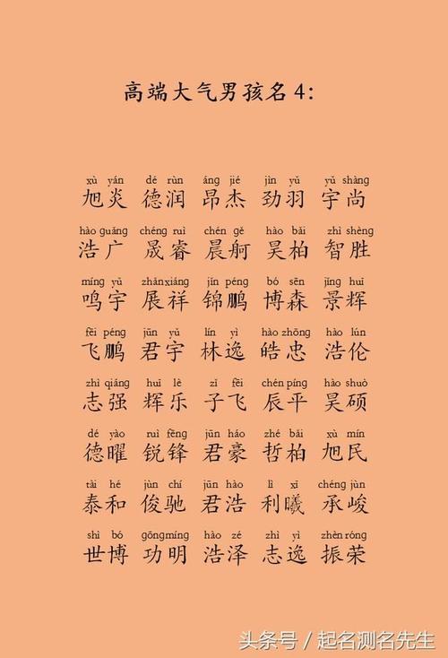 猪年属木的男孩名字