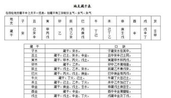 生辰八字起名免费取名