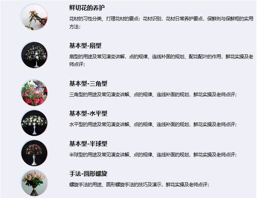起名字的软件哪个好用
