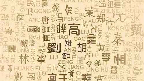 姓武宝宝起名女