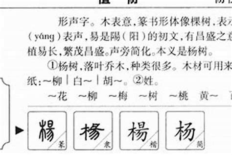 姓杨宝宝起名大全