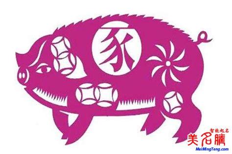 猪宝宝男孩名字大全合适哪个名字