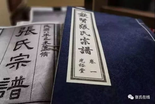 杜姓起名