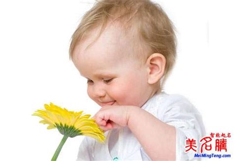属猪男孩李姓取名啥