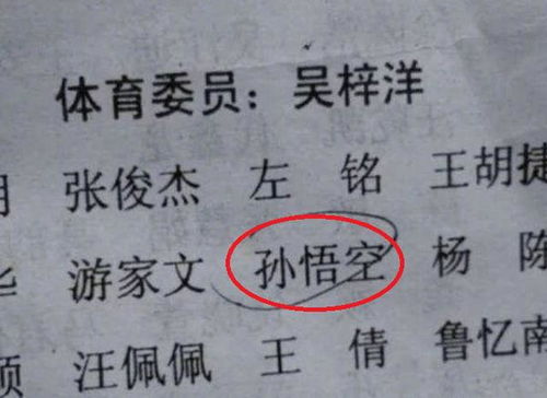 86年杨姓女孩起名怎么样好听