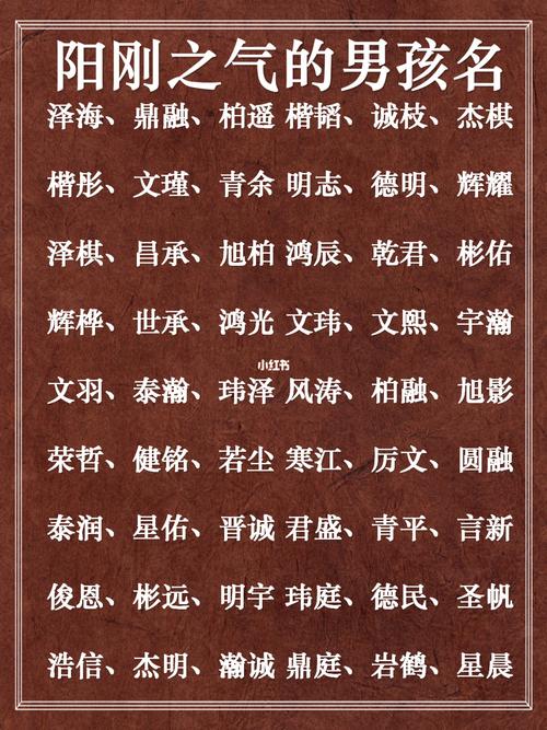 男孩名姓顾