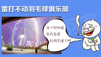 起名字有什么