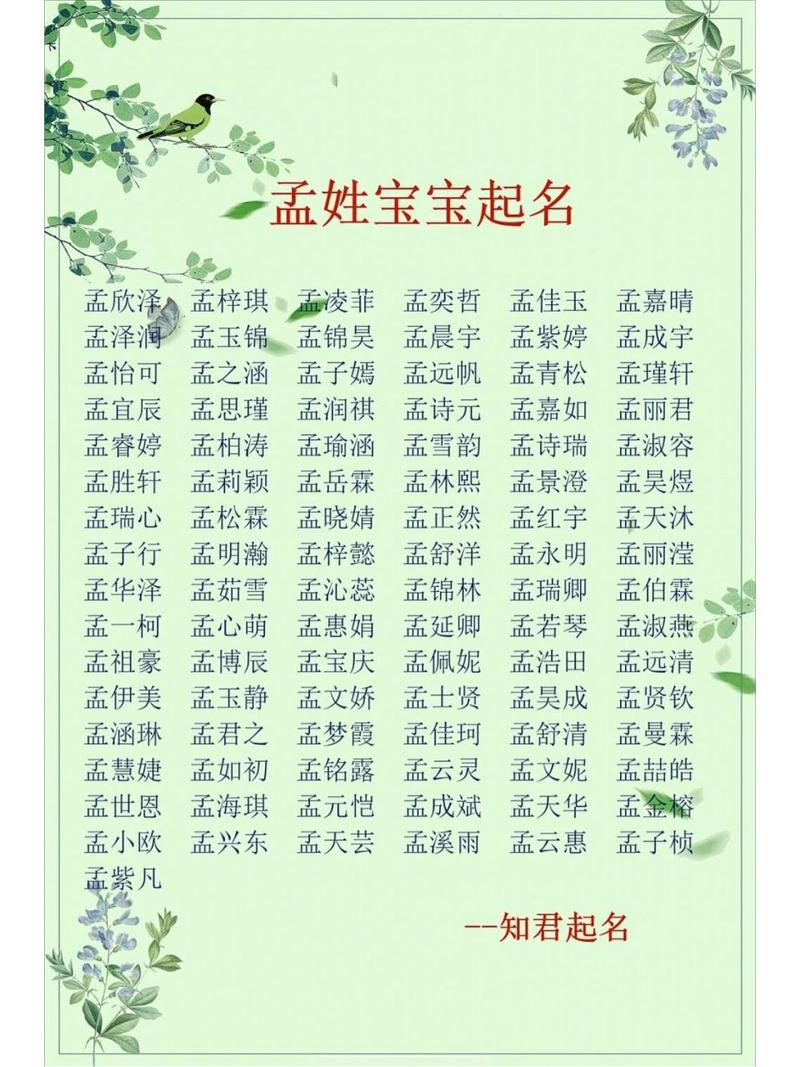 宝宝取名字大全免费2017年男孩