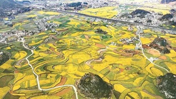 养殖合作社起名大全
