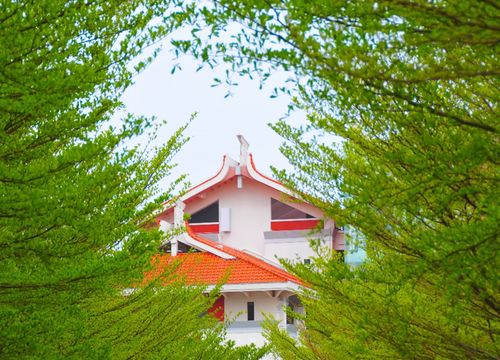 学校亭子起名的活动方案怎么写