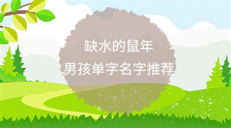 猪年带水的男孩名字