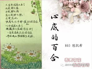 春天的诗词取名字