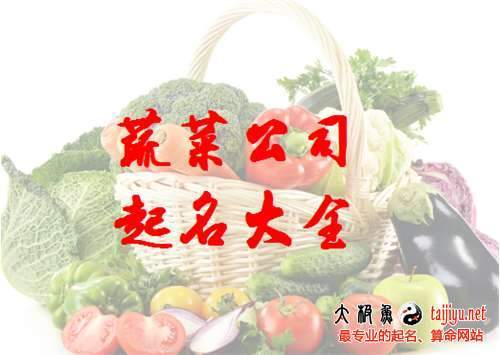 蔬菜配送公司怎么取名