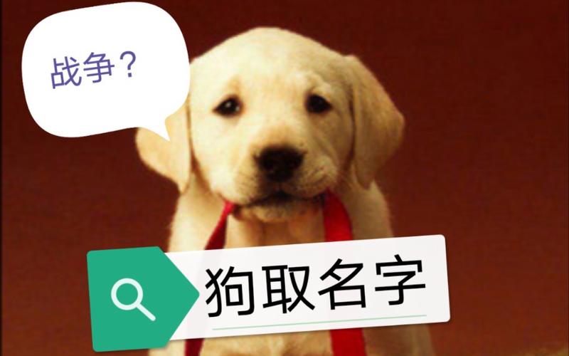 动物会给自己的孩子起名字吗