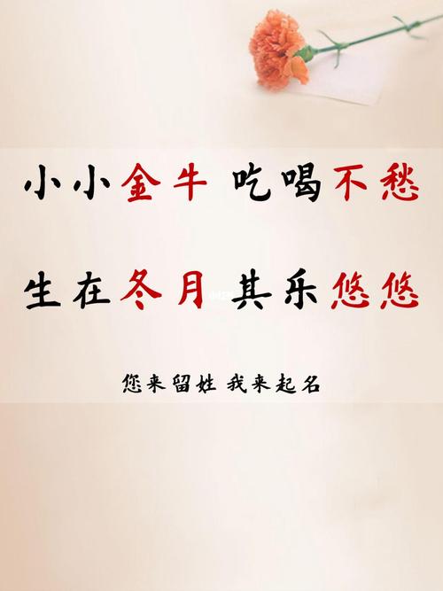 食物创意名字
