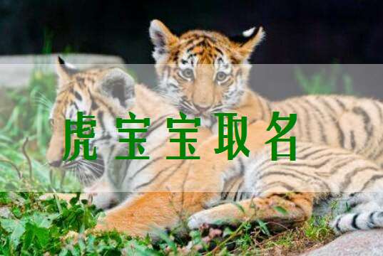 虎宝宝起名有马可以吗