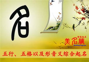 虎年宝宝起名用怡字起名