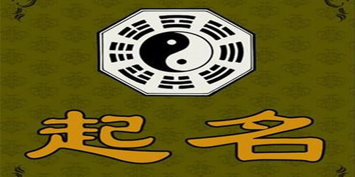 贵阳取名实体店哪个好