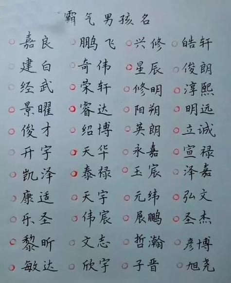 猪年名字大全