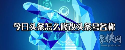 视频号起名技巧
