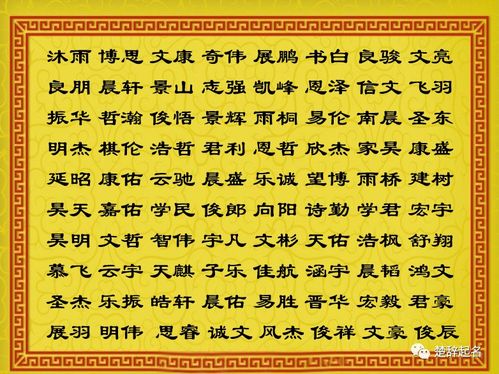魏姓男孩起名100分