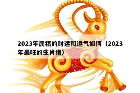 猪年男孩起名带财字好不好呢