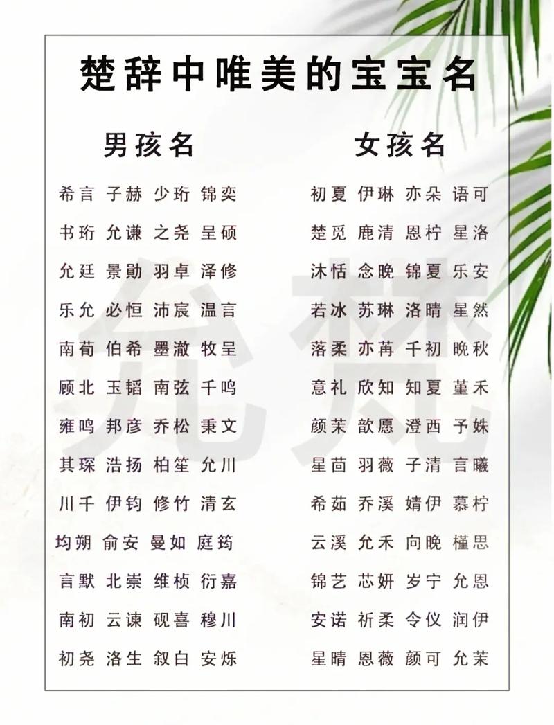 2022年双胞胎虎宝宝取名字最佳字