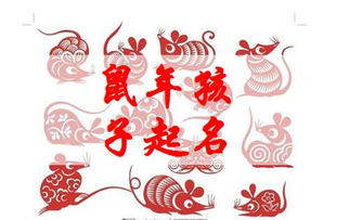 宝宝起名字属鼠女好吗？