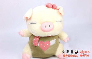 赵姓男孩起名大全猪宝宝