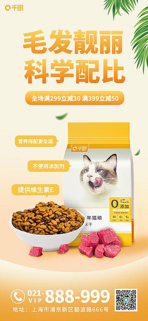 猫咪食品起名怎么起名字