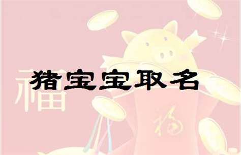 属猪的男孩取名宜忌