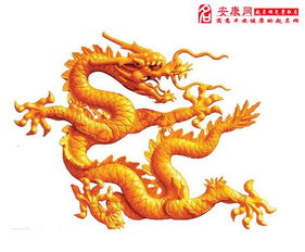 牛年生肖的后半辈子生活指南
