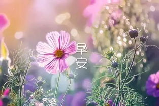 分手后最有骨气的三大星座坚强独立，绝不低头