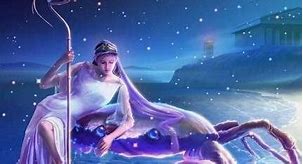 单身久了难以追求的星座