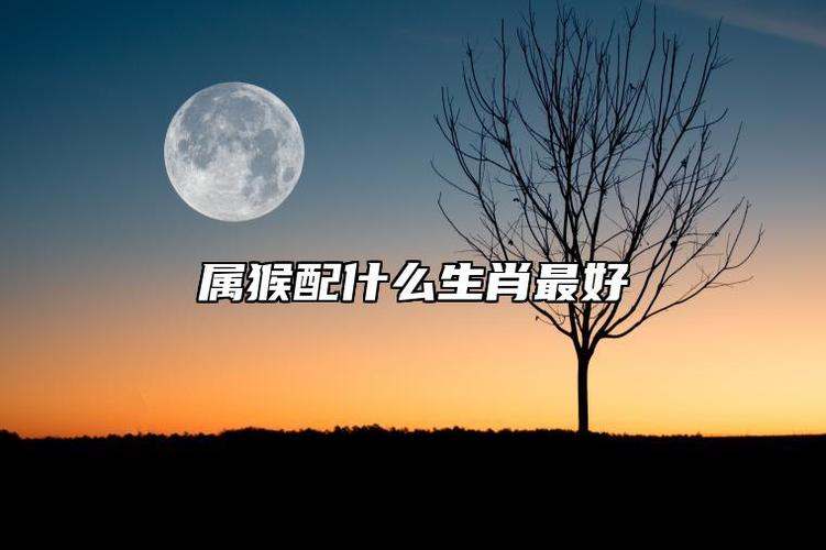 属龙和属猴的婚配关系