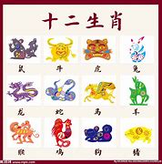 老实人总被骗