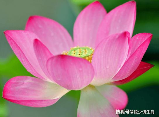月中上旬是什么时候