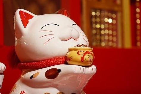 月里生肖，一飞冲天揭秘横财大运的神秘面纱

文章