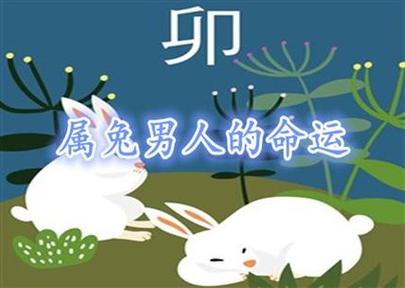 兔年出生每月运势如何