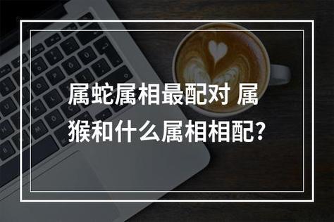 蛇猴姻缘传统智慧与现代解读