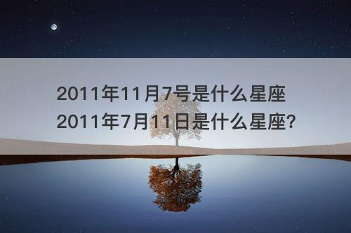 璀璨月天，星辉闪耀揭秘月日四大星座巅峰运势