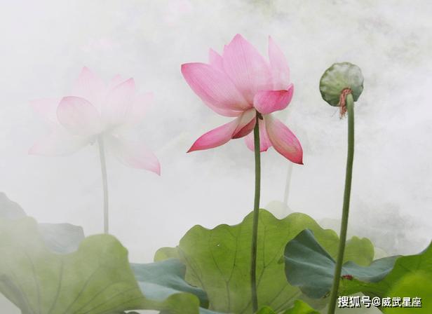 月日是哪天