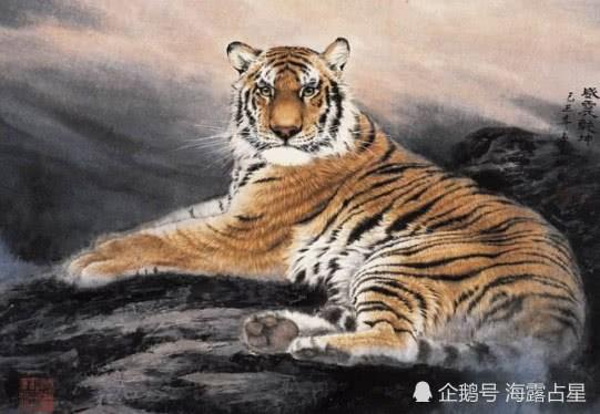 **晚年命最好的生肖健康长寿福气好，一生一世没烦恼
-**